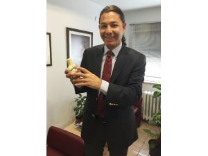 Ağrı Tedavisinde Nano Teknoloji