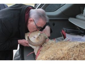 Ensar Öğüt Aracının Bagajında Meclis’e Koç Getirdi