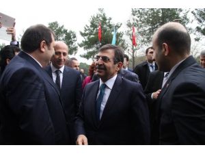 Bakan Güllüce’den İlginç Benzetme