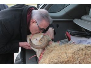 Meclis Böylesini İlk Kez Gördü