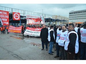 Disk Kutlamaları Coşkulu Başladı