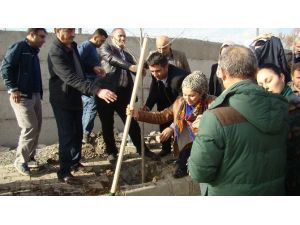 Silopi Belediyesi Üç Bin Fidanı Toprakla Buluşturdu