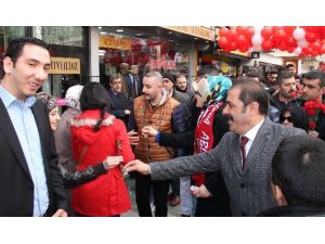 Sevgililer Gününde Karanfil Dağıtarak Adaylığını Açıkladı