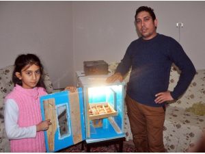 Kuluçkaya Yatmayan Tavuğa Kızdı Kuluçka Makinesi Yaptı