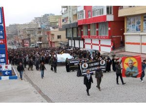 Şırnak’ta 15 Şubat Yürüyüşü