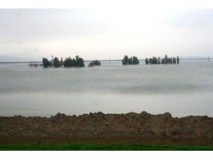 Amik Ovası Sular Altında