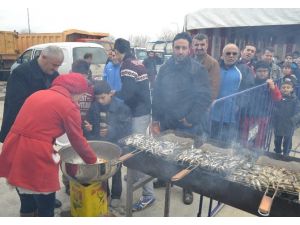 Tuzla Hamsiye Doydu