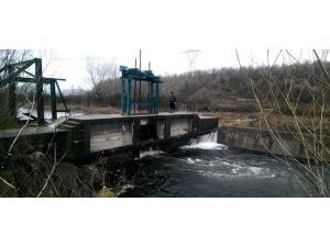 Sapanca Gölü Yüzleri Güldürdü