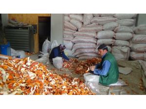 Portakal Kabuğu Ekmek Kapıları Oldu