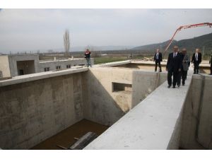 İznik Gölü Kurtuluyor