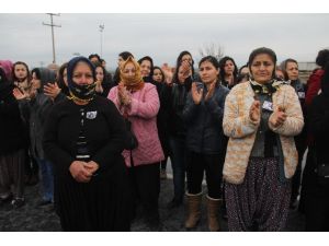 Kadınlar Artık Minibüse Binmeye Korkuyor