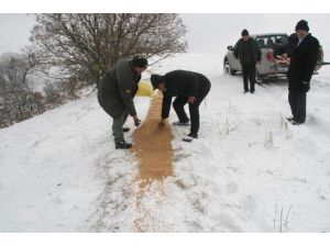 Yozgat’ta Yaban Hayvanları İçin Doğaya Yem Bırakıldı