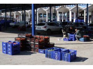 Soğuk Hava Meyve Ve Sebze Üreticisini Vurdu