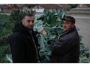 Ziraat Odası Başkanı Sadi Aktaş: