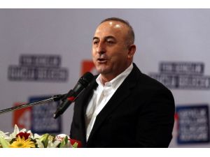 Bakan Çavuşoğlu: Muhalefet Hazmedemiyor