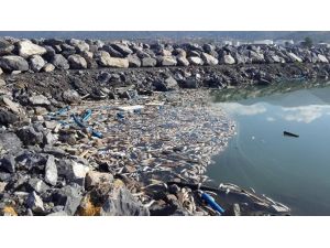 İskenderun Körfezi’nde Korkutan Manzara