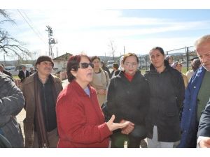 Sinop’ta Yibo’da Mülteci Krizi