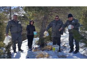 Mut’ta Yaban Hayvanları İçin Doğaya Yem Bırakıldı