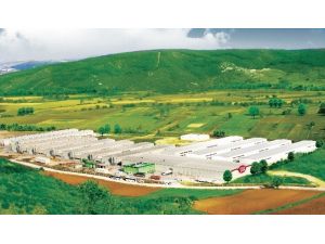 Tüketicilerden “Helal Yumurta”ya Büyük İlgi