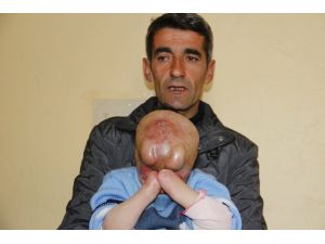 O Daha 4 Yaşında: Yardım Edin !