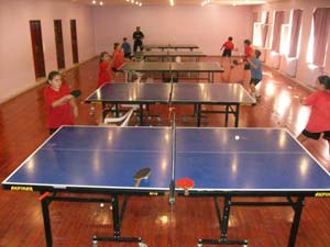 Masa Tenisi Turnuvası
