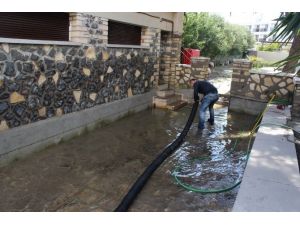 Çeşme, Yaralarını Sarıyor