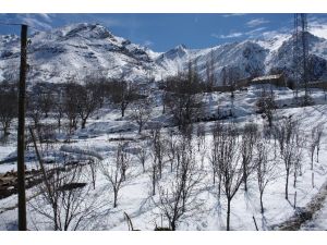 Dağlıca Köyü Sakinleri Tepkili