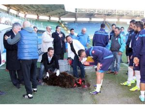 Çaykur Rizespor Sahasındaki Şanssızlığı Kırmak İçin Kurban Kesti