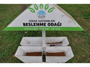 (Özel Haber) Hırsızlar Bu Kez Köpek Mamalarına Gözünü Dikti