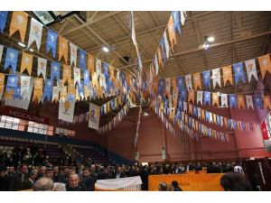 Ordu’da Temayül Yoklaması