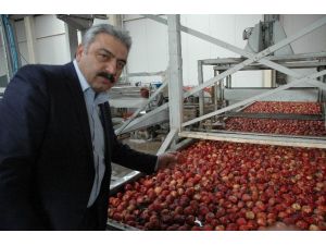 Karaman’da Elma Üreticisi Beş Yıldır Teşvik Bekliyor