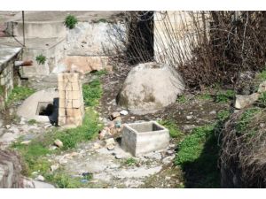 Tarihi Hamam Fare Yuvasına Döndü