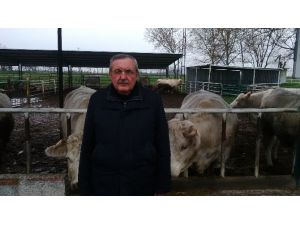 Besiciler Destekleme Fiyatlarının Açıklanmasını İstiyor