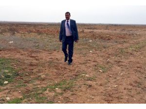 Şiddet Gören Kadınlar İçin Yapılan Ekolojik Köyün Çalışmalarına Başlanıldı