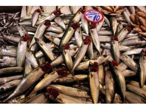 Balık Ucuzladı, Vatandaşın Yüzü Güldü