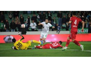 Timsah Çok Kızardı