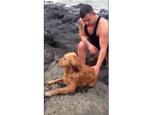Deniz’de Köpek Kurtarma Operasyonu