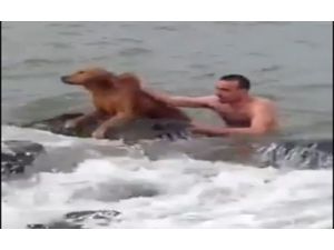 Köpek Kurtarma Operasyonu