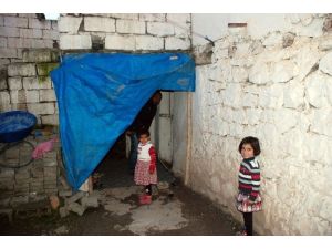 (Özel Haber) Çocuklarını Okutabilmek İçin Böbreklerini Satışa Çıkardı