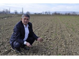 (Özel) Tarım Ambarı Yenişehir’de Organik Tarım Yapan Yok