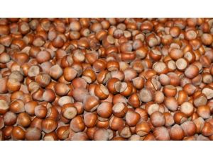 Tarım Sigortasına Rekor Başvuru