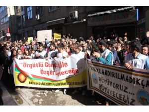 Dbp Eş Genel Başkanı Ayna Bingöl’de