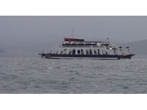 Feribot Seferleri İptal Edildi