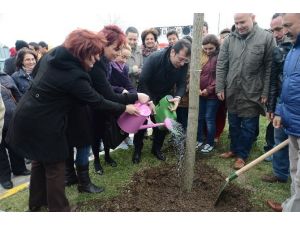 Öldürülen Her Kadın İçin Bir Ağaç Dikildi