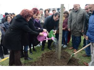 Öldürülen Her Kadın İçin Bir Ağaç