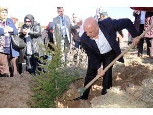 Özgecan Aslan Hatıra Ormanı