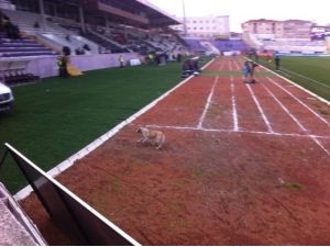 Maçta Sürpriz Konuk