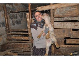 Hem Anne Hem Muhtar