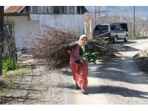 Onlar Hiç Kadınlar Günü Kutlamadı