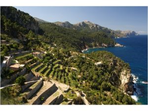 Mallorca’da Alkol Yasağı